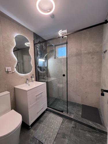 uma casa de banho com um chuveiro, um WC e um lavatório. em Family Apartment em Turnu Măgurele
