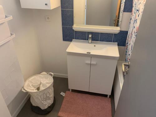 baño con lavabo, espejo y cubo de basura en Appartement proche Tête d'or, en Villeurbanne