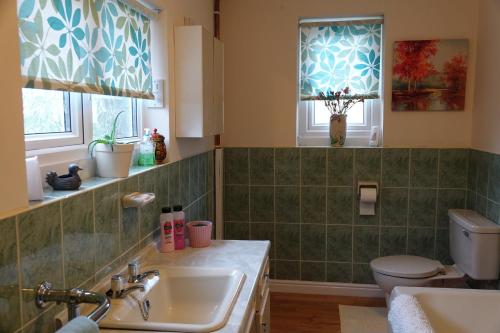 a bathroom with a sink and a toilet and windows at Glanyrafon Smithy Talgarreg in Tal-gareg