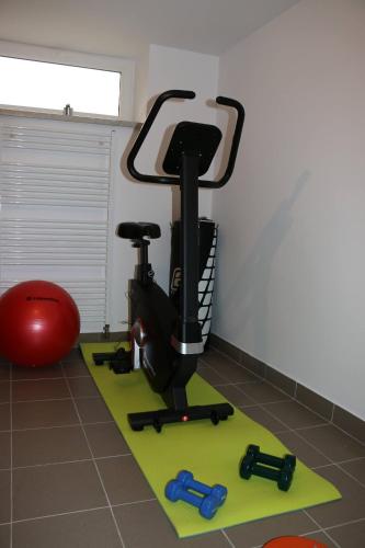 a gym with a exercise bike and a red ball at Vila Pohoda - Apartmán s vonkajšou terasou a záhradou in Belonia