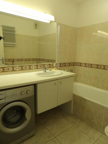 une salle de bain avec une machine à laver et un lavabo dans l'établissement St Cyprien Standing confort et piscine, à Saint-Cyprien