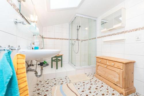 La salle de bains est pourvue d'un lavabo et d'une douche. dans l'établissement Haus am Wald, à Bad Kötzting