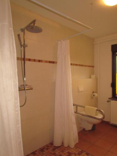a bathroom with a shower curtain and a toilet at Ferienhof Gliesner in Usedom Town