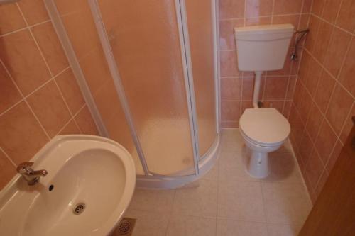 een badkamer met een douche, een toilet en een wastafel bij Apartments Dubrovnik Two in Povljana