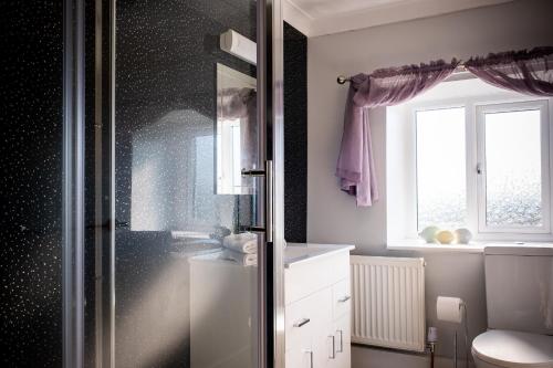 baño con ducha y aseo y ventana en Pen-Y-Graig Cottage Brynamman en Brynamman