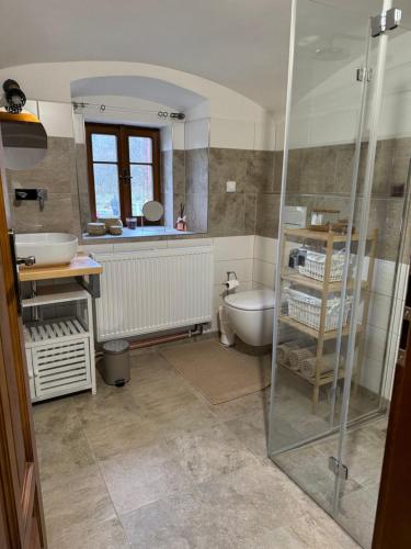 een badkamer met een douche, een wastafel en een toilet bij V Údolí in Jablonné v Podještědí