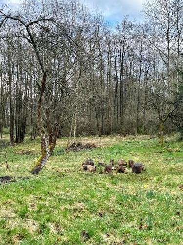 a group of logs in a field with trees at V Údolí in Jablonné v Podještědí