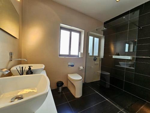 uma casa de banho com um WC, um lavatório e um chuveiro em Malta Unique Penthouse Spacious Terrace-Sleeps 8 em Mġarr