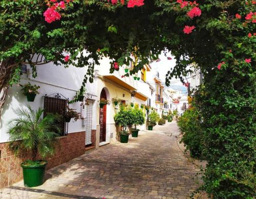 an alley with potted plants and flowers on a building at Casa Desire in Estepona