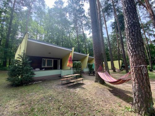 Taman di luar Ośrodek Wypoczynkowy Głębokie 4
