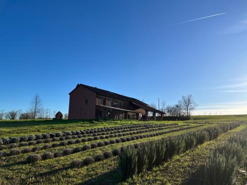 a barn and a field of hay rows at Cascina Mima - Monferrato in Quargnento