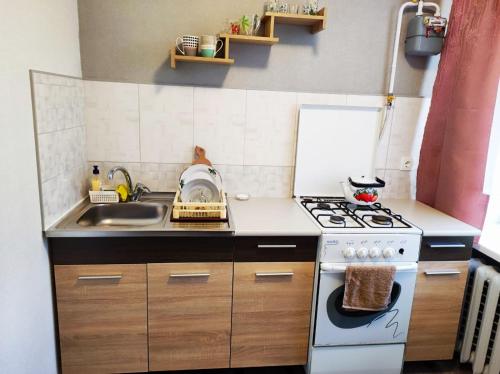 una pequeña cocina con fogones y fregadero en Новая квартира апартаменты в центре, en Izmaíl