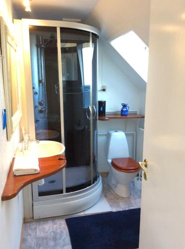 Guldbjerghus apartmentにあるバスルーム