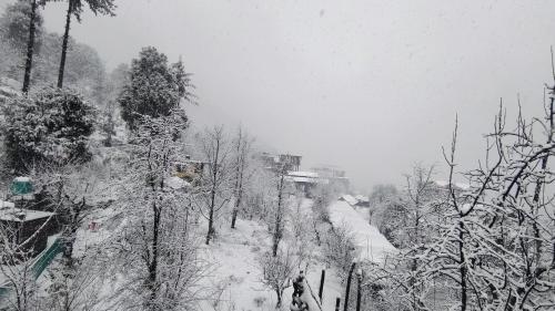 a snow covered street with trees and a snow storm at त्रिnity homestay in Kasol