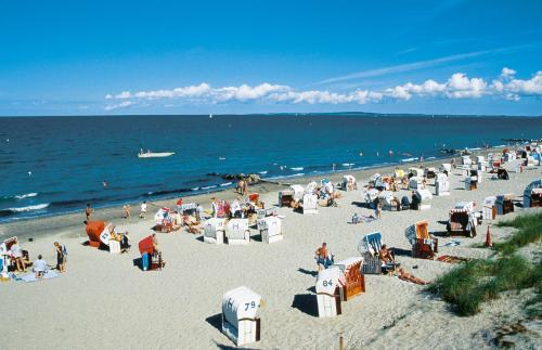 a group of people on a beach with the ocean at Ringhotel Hohe Wacht in Hohwacht