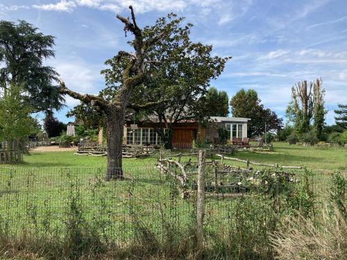 a tree in a field next to a fence at Chambre d'Hôtes chez Gustave & Compagnie in Choussy
