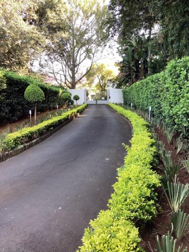 an empty road with bushes and trees on the side at Hudson Haven Bed & Breakfast in Pietermaritzburg