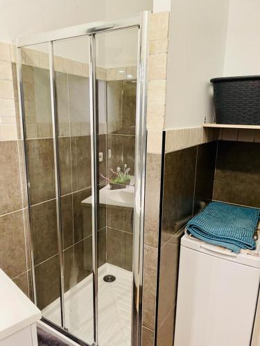 une douche avec une porte vitrée dans une salle de bain dans l'établissement La Terrasse des Arènes, à Nîmes