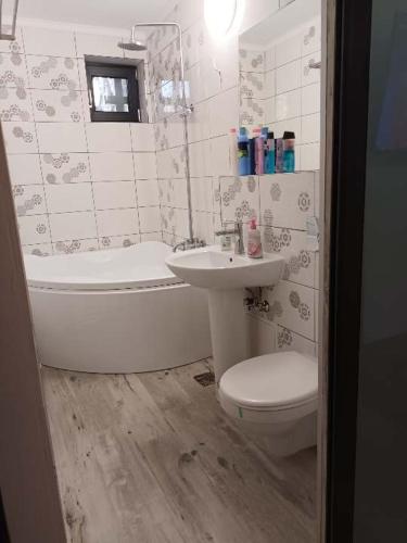 a bathroom with a sink and a toilet and a bath tub at Apartament ANA in Carei