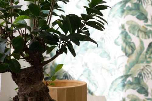 un bonsái en una olla junto a una pared en Sky Suite Green Pomezia, en Pomezia