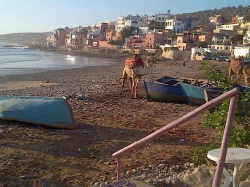 a man on a camel on a beach with a boat at RIAD BERBERE in Taghazout