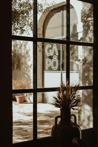 a window with a potted plant in front of a building at GAPO Rooms in Orta Nova