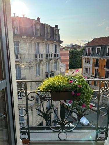 Easy Isola, for an easy stay photo 27