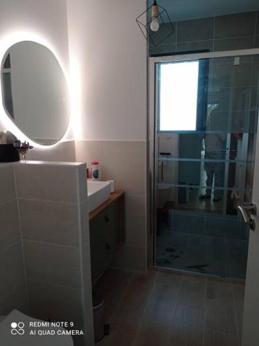 une salle de bain avec une douche, un lavabo et un miroir dans l'établissement Maison neuve coquette à côté de Biscarrosse, à Parentis-en-Born