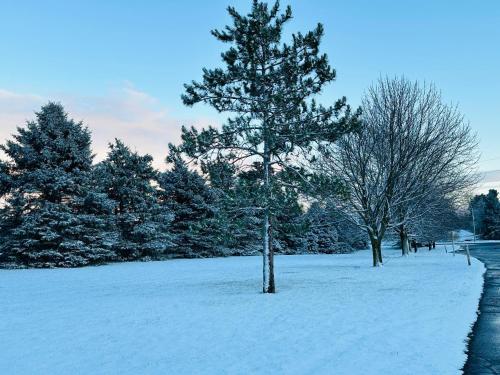 a snow covered park with trees and a sidewalk at Super 8 by Wyndham Imlay City in Imlay City