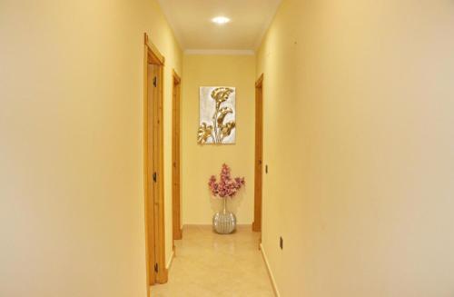 Apartamento Reyes