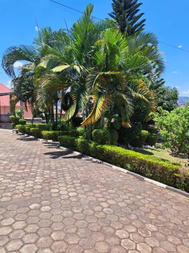a cobblestone street with palm trees in a park at Green Valley in Kigali