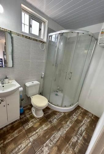 uma casa de banho com um chuveiro, um WC e um lavatório. em Hermosa casa centrica em Montevidéu