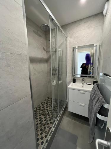 une salle de bain avec une douche, un lavabo et un miroir dans l'établissement Super 4 Pièces refait à neuf, à Villeurbanne