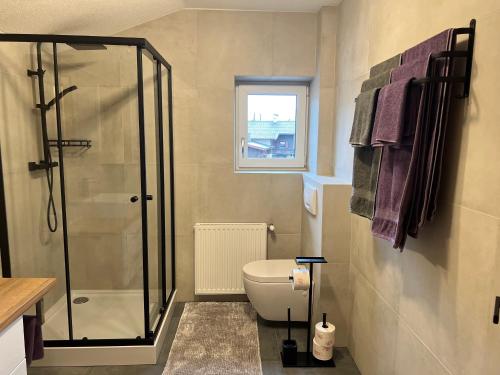 ホッホフィルツェンにあるApartment Juliaのバスルーム(シャワー、トイレ付)、窓が備わります。