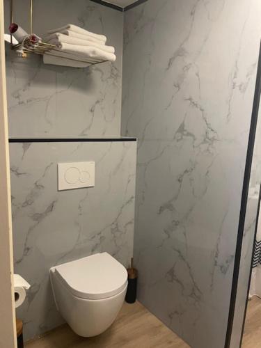 a bathroom with a white toilet and marble walls at Valkenhof in Valkenburg