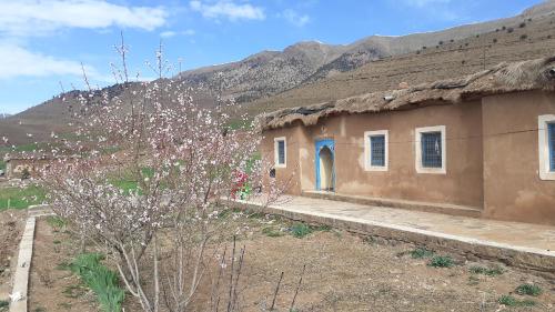 een klein huis met een rieten dak en een boom bij Gîte Ait Bouguemez in Azilal
