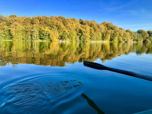 a boat on a lake with trees in the background at Skjoldenæsholm Slot in Jystrup