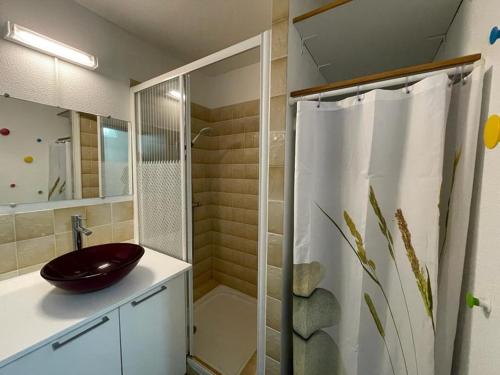 une salle de bain avec un lavabo et une douche dans l'établissement Appartement 4 pers belle terrasse vue port, à Capbreton