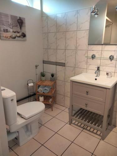 une salle de bain avec toilettes et lavabo dans l'établissement Ferme de l'Etang - Gîte, à Épuisay