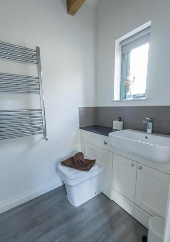 a bathroom with a toilet and a sink and a window at Hedgehogs Home at Tove Valley Cottages in Towcester