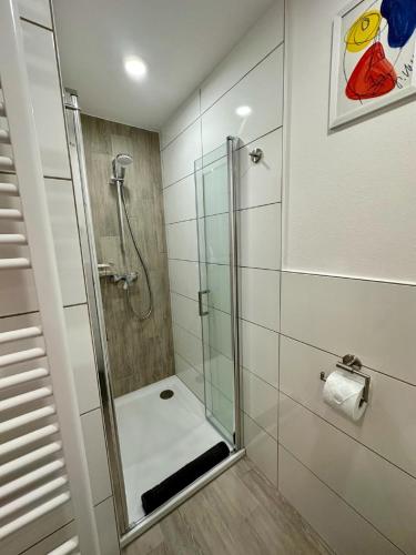 a shower with a glass door in a bathroom at Ferienwohnungen GoJa in Bad Königshofen im Grabfeld