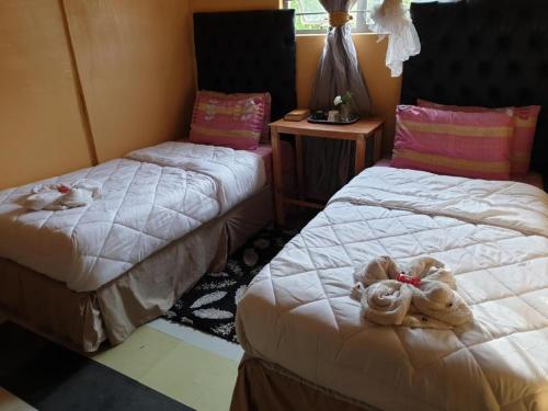 Dos camas en una habitación con animales de peluche. en EverGreen Lodge Bed & Breakfast, en Sukau