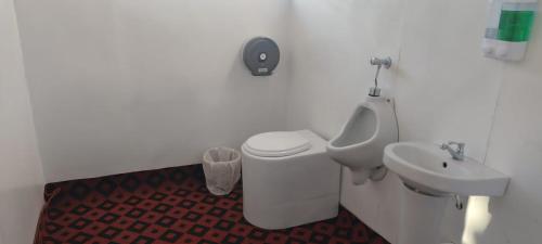 プーノにあるTitikaka sumaq tika lodgeのバスルーム(洗面台、トイレ、尿路付)