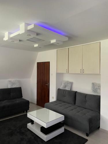 ein Wohnzimmer mit einem Sofa und einem Couchtisch in der Unterkunft Vikendica Uvac in Priboj
