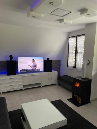 a living room with a flat screen tv and a fireplace at Vikendica Uvac in Priboj