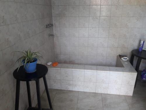 La salle de bains est pourvue d'une baignoire et d'une plante sur deux tabourets. dans l'établissement Don Zoilo Alojamientos, à Belén