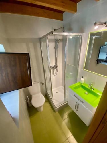 a bathroom with a shower and a toilet and a sink at El balcón del Escanu. in Lastres