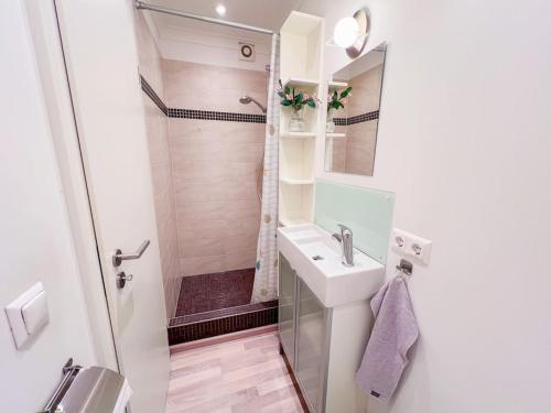 La petite salle de bains est pourvue d'une douche et d'un lavabo. dans l'établissement Alte Eizmanufaktur *2 Pers*, à Stolpen