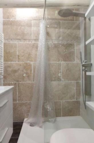 La salle de bains est pourvue d'une douche avec rideau de douche. dans l'établissement La Courette, Beau studio, Clim, Centre Historique, à Montpellier