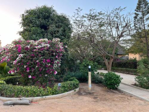 Zahrada ubytování Magnifica Villa en corazón de Saly ! con piscina